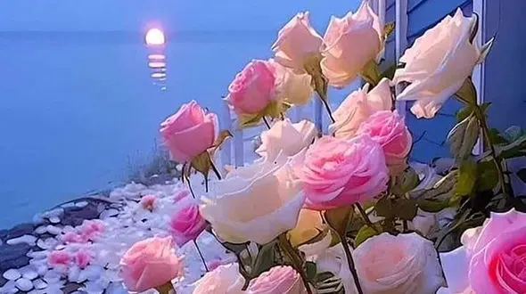 فال ابجد امروز 18 آبان / فیلم