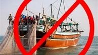 ممنوعیت صید برخی آبزیان در آب‌های هرمزگان