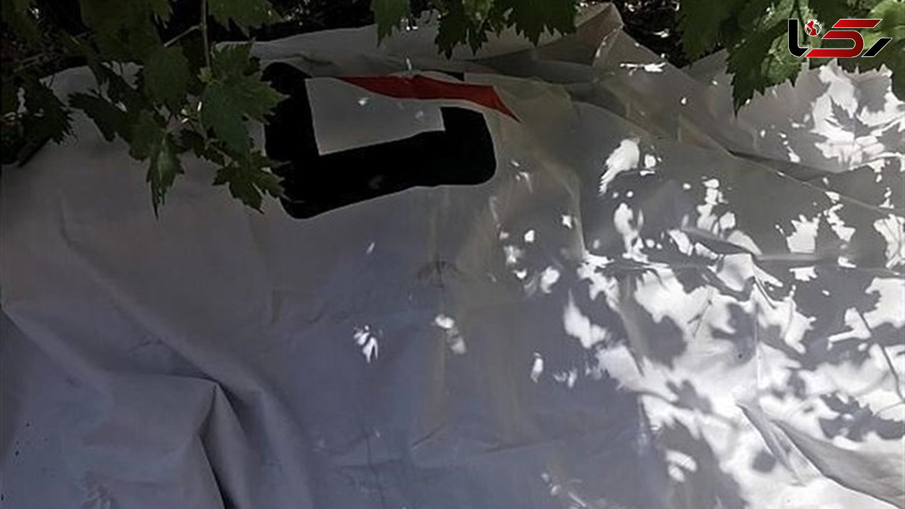 عکس دلخراش از سقوط مرگبار مرد جوان تهرانی