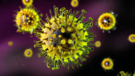 کشف مکانیسم تکثیر ویروس‌های کشنده