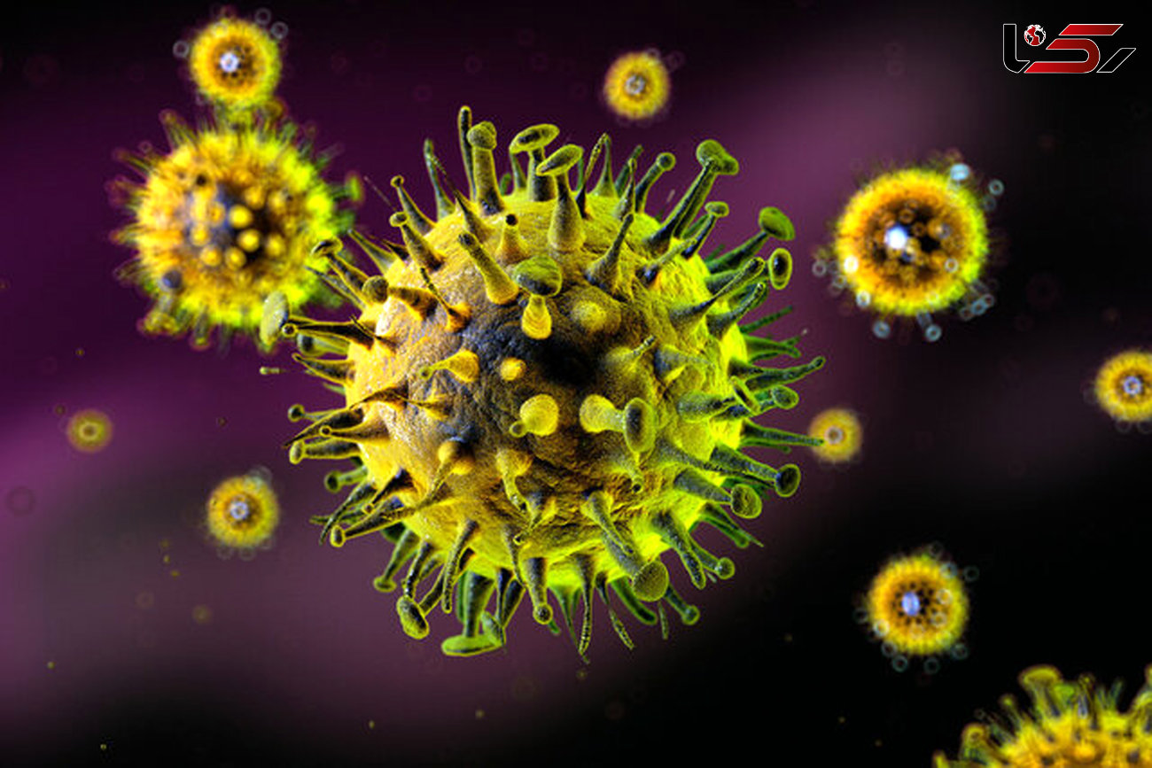 کشف مکانیسم تکثیر ویروس‌های کشنده