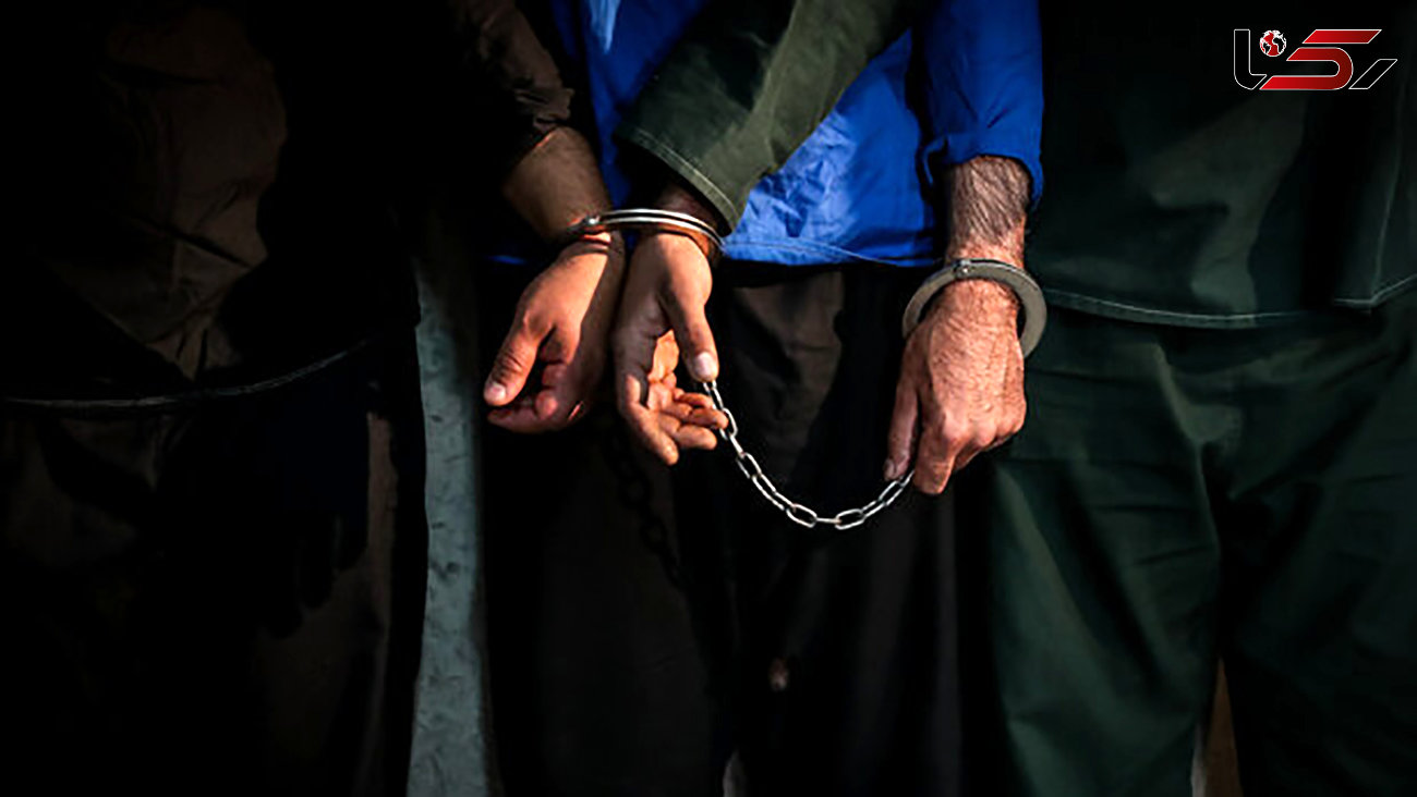 بازداشت 2 موبایل قاپ حرفه ای در قلهک