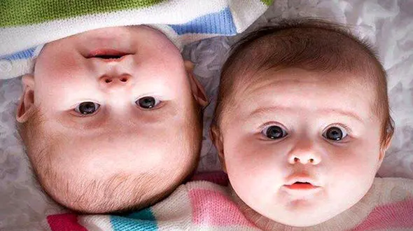 خانواده‌های دارای سه قلو، زمین رایگان می‌گیرند