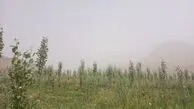 «هوای خفه» و «ریه های خاکی» در قلب ایران؛ تهاجم تازه گرد و غبار/  از زابل تا اصفهان در وضعیت هشدار