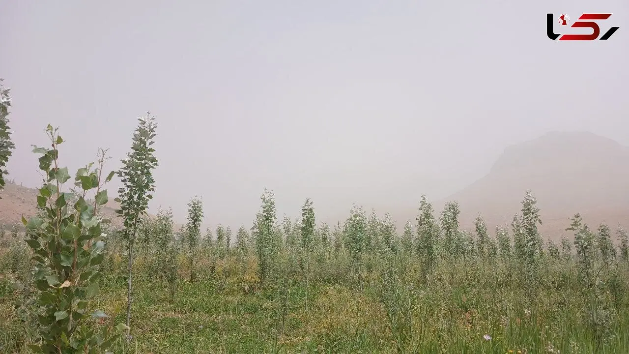 «هوای خفه» و «ریه های خاکی» در قلب ایران؛ تهاجم تازه گرد و غبار/  از زابل تا اصفهان در وضعیت هشدار