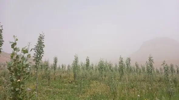 «هوای خفه» و «ریه های خاکی» در قلب ایران؛ تهاجم تازه گرد و غبار/  از زابل تا اصفهان در وضعیت هشدار