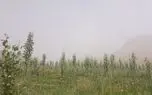 «هوای خفه» و «ریه های خاکی» در قلب ایران؛ تهاجم تازه گرد و غبار/  از زابل تا اصفهان در وضعیت هشدار