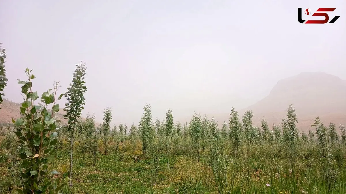 «هوای خفه» و «ریه های خاکی» در قلب ایران؛ تهاجم تازه گرد و غبار/  از زابل تا اصفهان در وضعیت هشدار