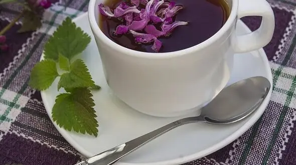 افزایش گلبول های خون با یک نوشیدنی طبیعی + دستور تهیه