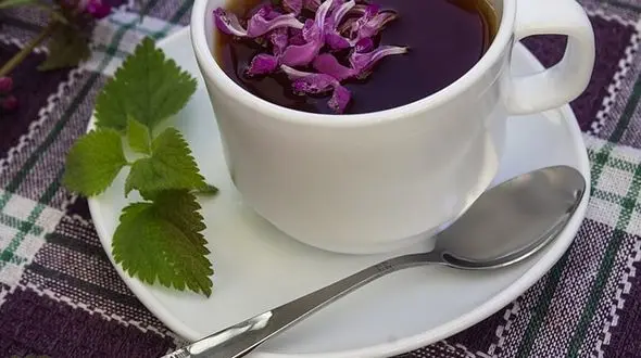 افزایش گلبول های خون با یک نوشیدنی طبیعی + دستور تهیه