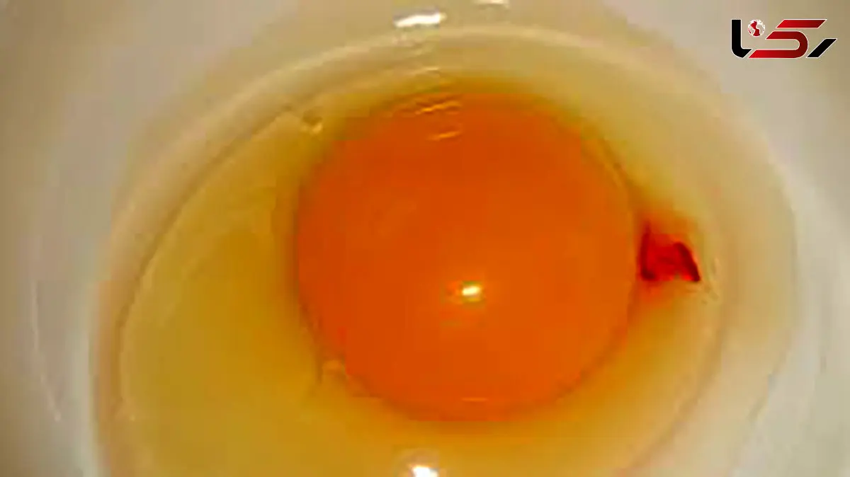 آیا لکه خون نشانه بیمار بودن مرغ است؟