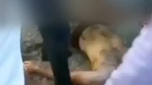 فیلم لحظه بیرون کشیدن جنازه تازه داماد در ماه عسل / در سنندج رخ داد