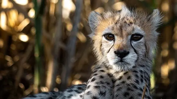 "پیروز" هیچ صفحه ای در شبکه های اجتماعی ندارد!