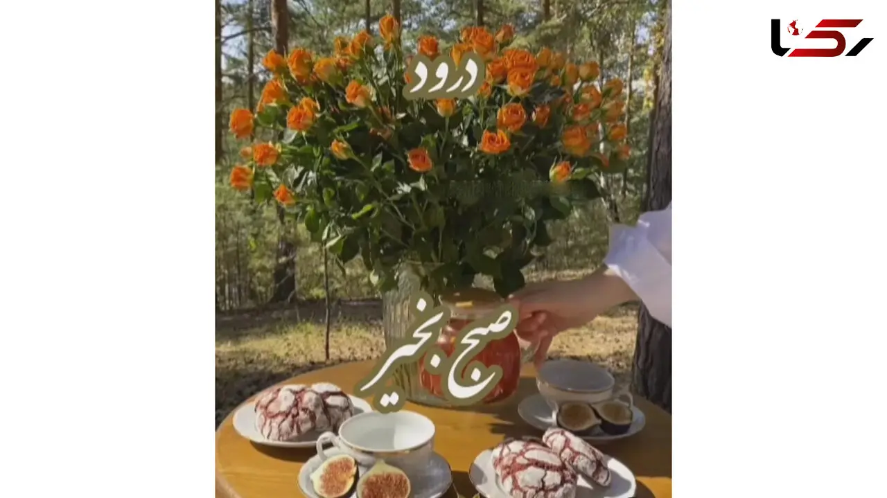 فال ابجد امروز 28 بهمن + فیلم 