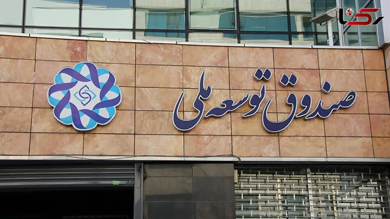 جذب سرمایه‌ در صنعت برق با پشتوانه صندوق توسعه ملی