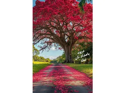 فال و طالع بینی امروز 22 تیر 1405