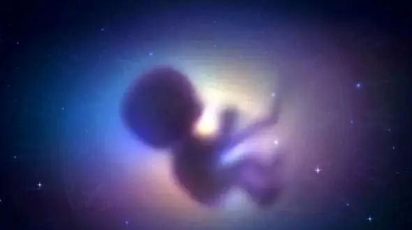 اولین نوزادی که هوش مصنوعی مادرش شده است؛ لقاح خودکار چیست؟