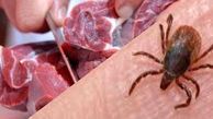 شناسایی بیمار مبتلا به تب کریمه کنگو در اردبیل/ مردم گوشت را از مراکز معتبر خریداری کنند