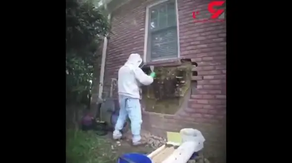 پنهان بودن یک گنج داخل دیوار زیر پنجره + فیلم