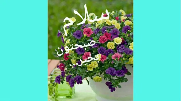 فال روزانه شخصی / 29 دی ماه + فیلم