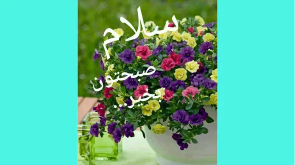 فال روزانه شخصی / 29 دی ماه + فیلم