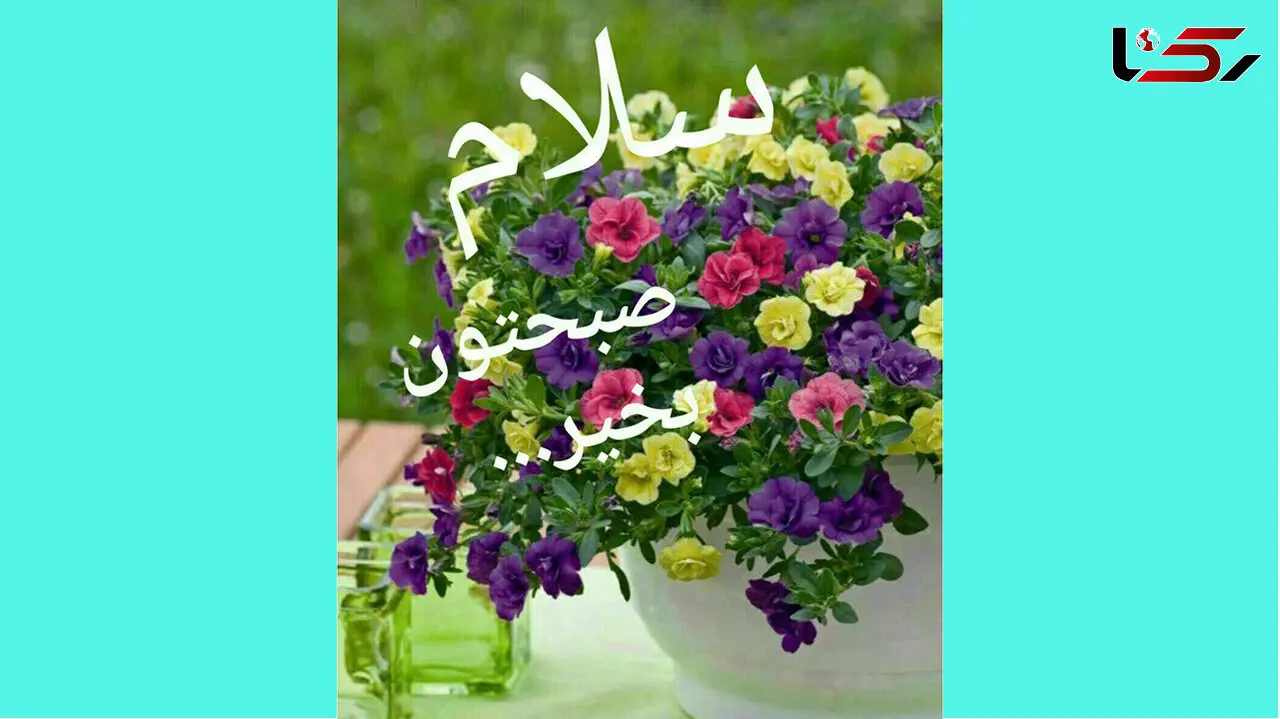 فال روزانه شخصی / 29 دی ماه + فیلم