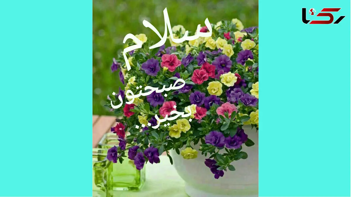 فال روزانه شخصی / 29 دی ماه + فیلم
