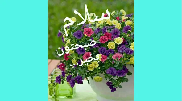 فال روزانه شخصی / 29 دی ماه + فیلم