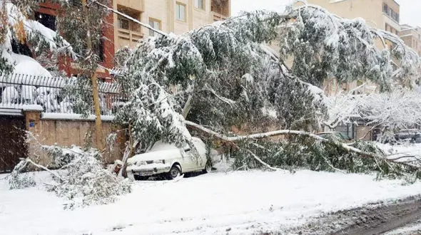 واکنش هنرمندان به اولین برف زمستانی تهران +تصاویر