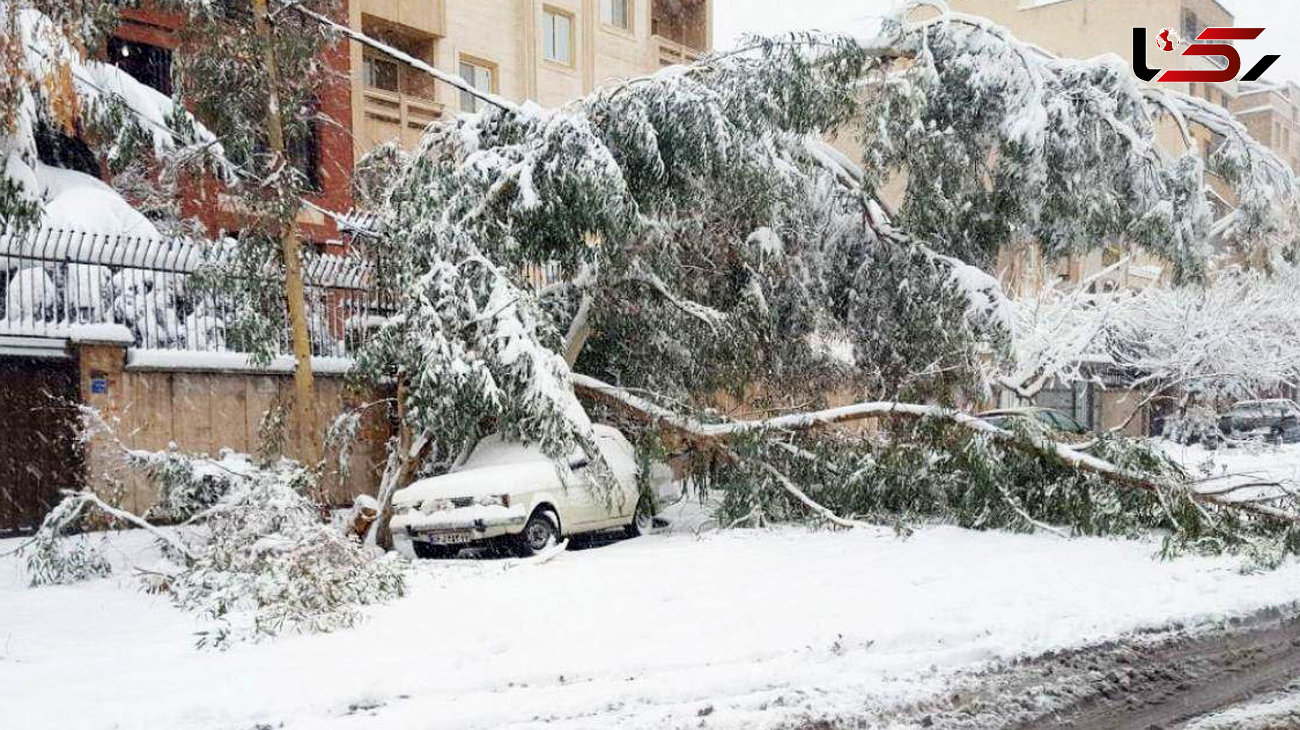 واکنش هنرمندان به اولین برف زمستانی تهران +تصاویر