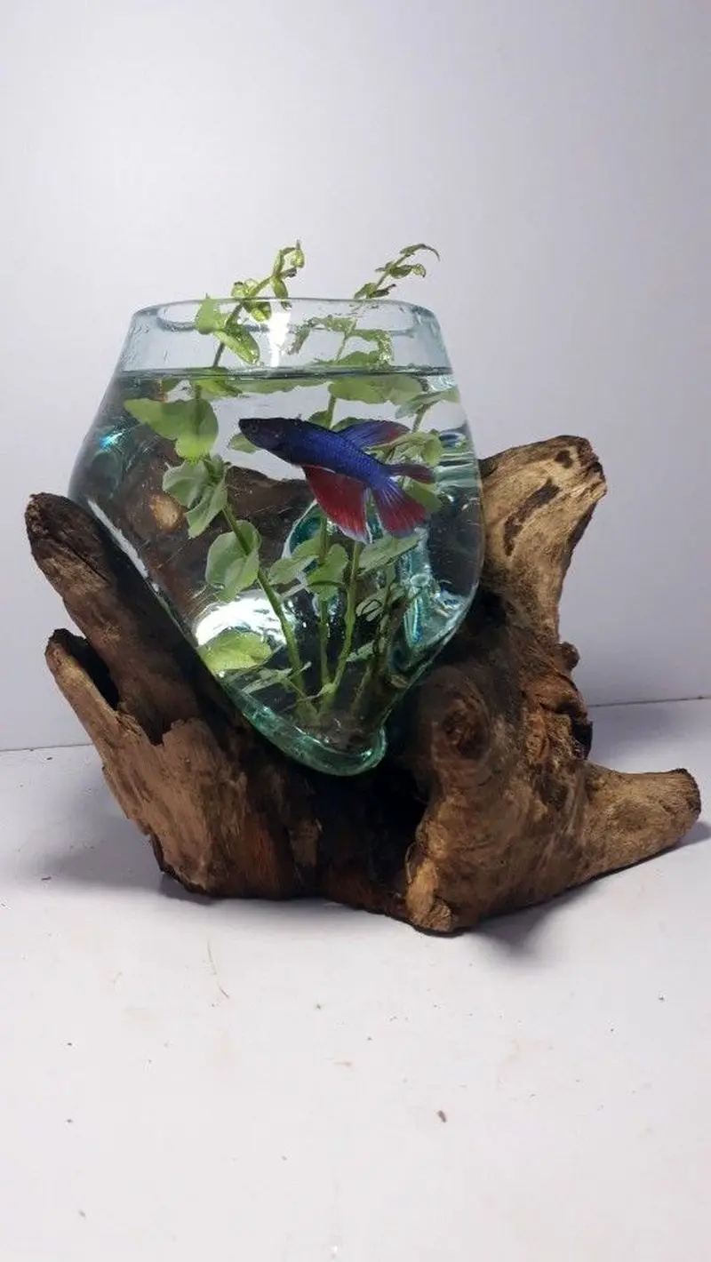 مدل تنگ ماهی هفت سین ۱۴۰۵ | مدل تنگ ماهی مدرن تا فانتزی برای هفت سین ۱۴۰۵ با ایده هایی برای عروس های هنرمند!