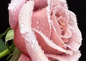 فال ابجد امروز 16 خرداد 1405