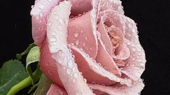 فال و طالع بینی امروز 3 خرداد 1405