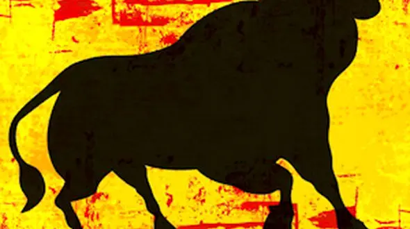 گاو بازی جذاب تا کرکس ریشو