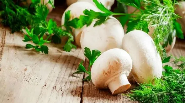 قیمت انواع قارچ، جوانه و محصولات منجمد در میادین تهران + نرخنامه