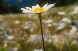 رویاهات منتظر تو نیستن حرکت کن