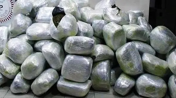 2 سوداگر مرگ راهی زندان یزد شدند