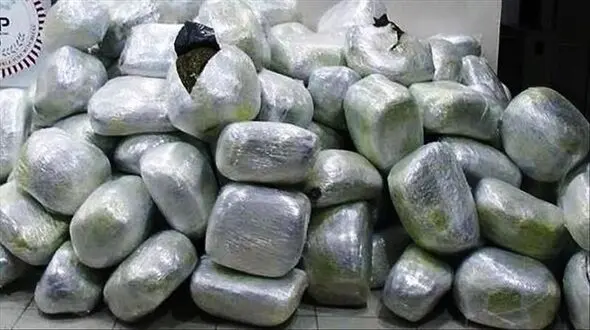 2 سوداگر مرگ راهی زندان یزد شدند