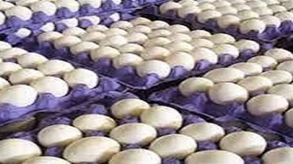 اعلام قیمت رسمی هر شانه تخم‌ مرغ /  مردم تخم‌ مرغ نمی‌خرند؟