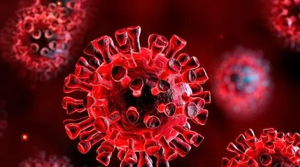 کرونا 500 میلیون نفر را دچار فقر شدید کرد