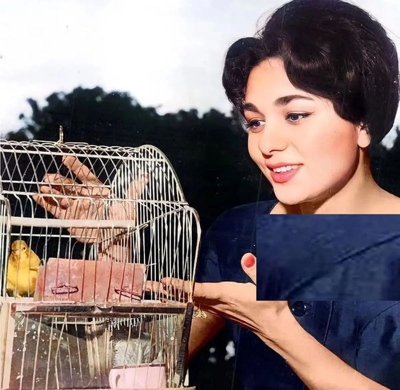 پهلوی