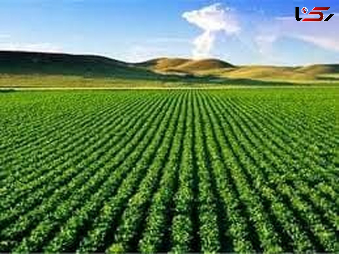 اختصاص بیش از یک هزار میلیارد تومان به کشاورزی لرستان