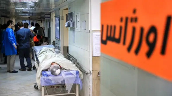 شناسایی 2مبتلا به بیماری قارچ سیاه دربوشهر