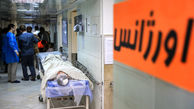شناسایی 2مبتلا به بیماری قارچ سیاه دربوشهر