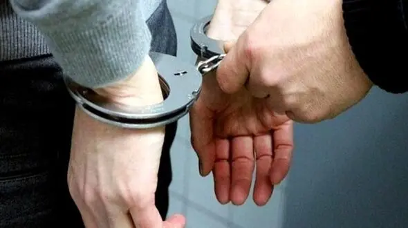 سارقان حرفه ای پسته در چنگ پلیس بردسکن