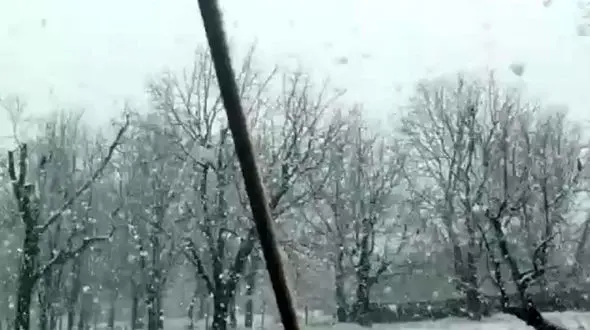 بارش برف سنگین در تویسرکان همدان + فیلم 