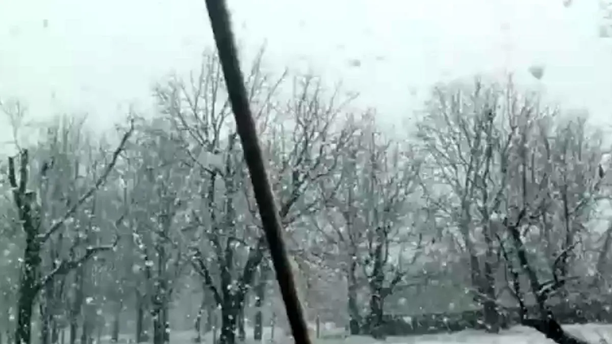 بارش برف سنگین در تویسرکان همدان