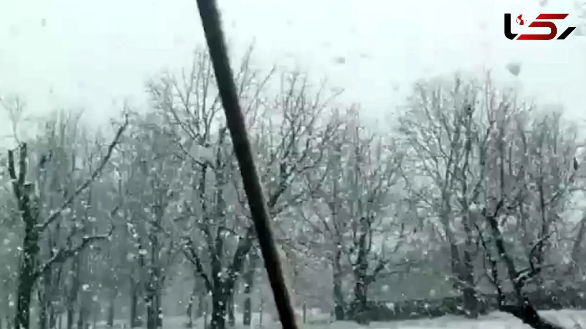 بارش برف سنگین در تویسرکان همدان + فیلم 