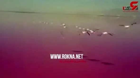 دریاچه مهارلو، عجیب ترین جاذبه استان فارس+فیلم