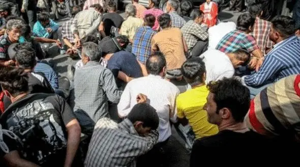 41 تبهکار شیرازی در دام پلیس